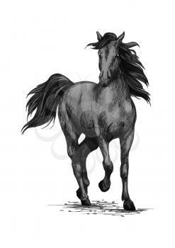 Horse racing or galloping vector sketch. Wild mustang running on races. Farm black stallion animal symbol for equestrian horserace club or sport riding bets or equine exhibition design