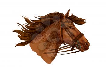 Horse head with bridle. Running or racing mustang stallion vector sketch symbol for equestrian horserace club or sport riding bets or equine exhibition design. Wild or arabian brown mare