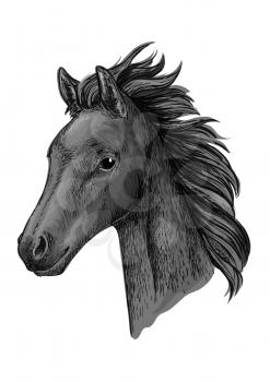 Black horse portrait. Stallion modestly looking down with wavy mane. Artistic vector sketch portrait