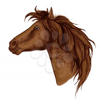 Horse royal noble profile portrait. Brown mustang with calm and proud look