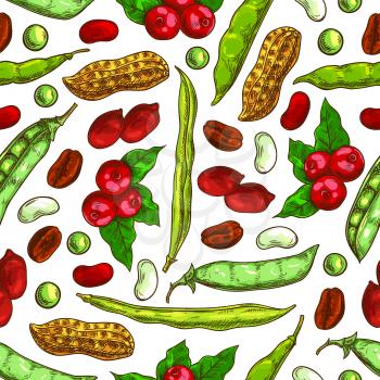 Beans and nuts pattern. Fresh and roasted coffee beans, nutritious dried peanuts in shell, legume beans, green peas pods. Vector seamless background of vegetarian and vegan vegetable food nutrition of