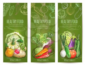Healthy food banners set. Chalk sketch vegetables cabbage, squash and onion, radish and, kohlrabi, beet, carrot, chili and bell pepper. Leek, cucumber, tomato and eggplant, zucchini and chinese cabbag