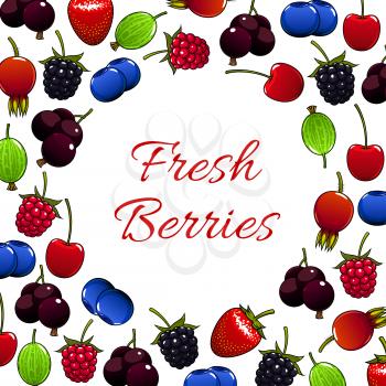 Berries vector poster of fresh juicy and sweet strawberry, raspberry, blackberry, cherry, briar, blueberry, gooseberry, blackcurrant or redcurrant. Fruity berry forest and garden harvest design for ja
