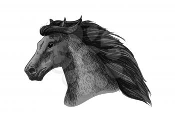 Horse head vector sketch. Wild black raven mustang or mare running or racing. Stallion symbol for equestrian horserace club or equine sport riding bets or exhibition design