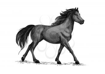 Horse vector sketch. Running or walking wild black raven mustang stallion symbol for equestrian horserace club, equine animal riding sport exhibition or contest