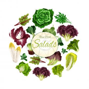 Leafy salads of lettuce vegetables lollo rossa and radicchio, chicory salad and spinach, arugula, mangold kale and collard, romaine, pak choi and sorrel, swiss chard salad with batavia and gotukola. V