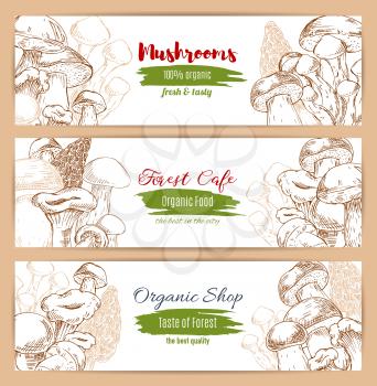 Mushrooms banners set of vector sketch edible mushroom champignon and gourmet morel and truffle, chanterelle, russule and milk mushroom or honey agaric, woolly milkcap porcini and forest cep. Design f