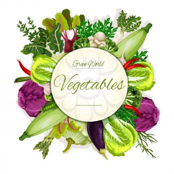 Natural vegetable healthy food banner. Red chilli pepper and garlic, asparagus and broccoli, chinese or napa cabbage, eggplant and beet daikon. Cooking, grocery market or veggie, vegan shop, restauran