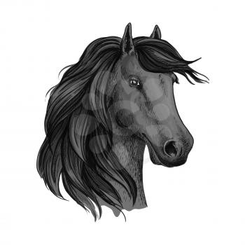 Head sketch of horse mustang or stallion. Dapple gray broodmare or mare, foal or filly with wavy mane, horsey domestic marish. May be used for equestrian racehorse mascot or equine sport club, hippodr