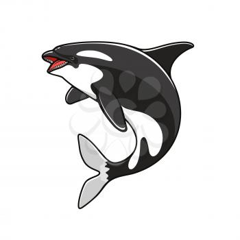 Orca or killer whale, grampus fish symbol. Marine or nautical mammal, big underwater animal and creature with teeth jumping over, swimming predator. Sea or ocean life, oceanarium or dolphinarium logo,