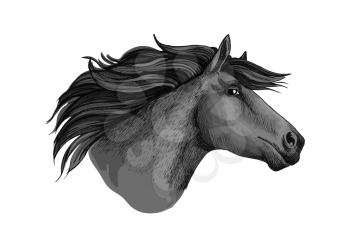 Mare horse or mustang head sketch. Broodmare or equine, horsey animal, dapple gray foal or filly or marish with curvy mane and long ears. Equestrian club or hippodrome sport, feral or domestic mammal,