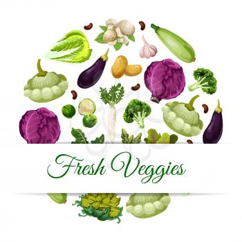 Fresh vegetable food banner. Pattypan squash and broccoli, asparagus and daikon, mushroom and garlic, broad beans and beets, red cabbage and zucchini or courgette, potato and eggplant. Health vegetari