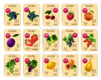 Price tag or cards for fruit and berry. Sale label with blackberry or blueberry, bilberry and whortleberry, huckleberry, cherry and raspberry, apple and plum, strawberry and gooseberry, redcurrant and