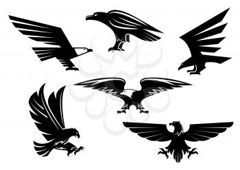 Bird icons set. Vector heraldic eagle or hawk isolated emblem. Gothic or imperial predatory falcon symbol with open spread wings and sharp clutches. Eagle or griffin heraldry sign for sport team masco