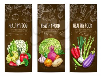 Healthy food vegetables banners. Chalk sketch vegetables cauliflower, squash, bell and chili pepper, tomato and leek, broccoli cabbage, onion and potato, garlic, beet and carrot, asparagus, eggplant a