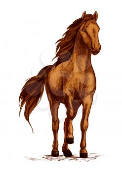 Horse vector sketch. Arabian mustang standing on ground and stomping or stamping with hoof. Brown wild or farm stallion symbol for equestrian racing sport, horse riding races club, equine exhibition