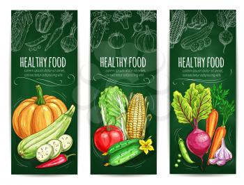 Vegetable and healthy food blackboard banner set. Fresh tomato, carrot, pepper, chinese cabbage, zucchini, corn, pumpkin, garlic, pea, beet vegetable chalk sketches on green chalkboard