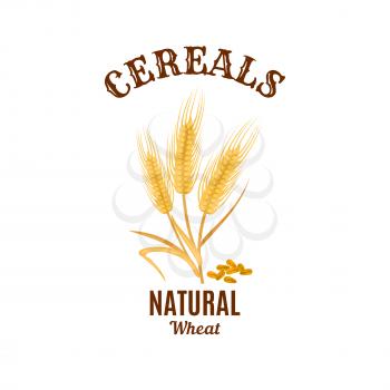 Cereals icon. Vector isolated wheat ear plant. Bread food, flour or beer natural ingredient barley, oat or rye. Agriculture or farming cereal reap harvest with grain seeds. Design for bakery or health