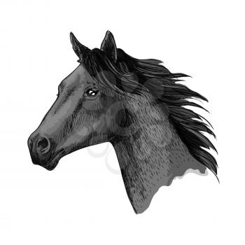 Horse vector symbol of horserace or riding sport. Wild black mustang or mare head with waving mane. Stallion sketch for equine animal race or racing sport contest or equestrian exhibition