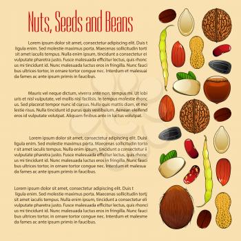 Nuts poster with grain, plant seeds and beans of almond and pistachio kernels, wheat, oat or rye ears cereals coconut, peanut and cashew, hazelnut, walnut, sunflower seed, coffee bean and legume or pe