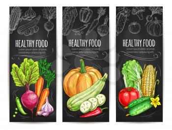 Vegetables sketch banners set. Vegetarian healthy food menu on chalkboard. Vector veggie beet, carrot, garlic, pea, pumpkin, zucchini, chili pepper, cabbage, cucumber, tomato, corn