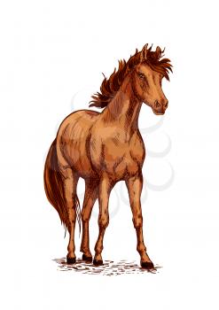 Horse foal or young mare vector sketch. Brown wild or farm stallion symbol for equestrian racing sport, horse riding races club, equine exhibition. Arabian brown mustang standing on ground and stompin