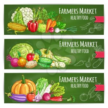 Vegetables sketch banners set of farmer market veggies. Vector corn and garlic, zucchini squash and beet, pumpkin and cauliflower, radish daikon, broccoli, bell and chili pepper, green onion leek, egg