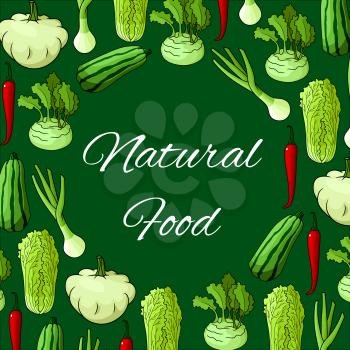 Veggies poster of chinese cabbage napa, squash zucchini and patisony, kohlrabi and green onion leek, spicy chili pepper or jalapeno. Vector natural fresh vegetables and farm fresh organic ripe harvest