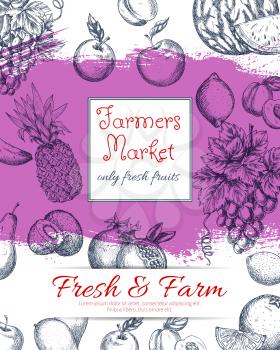 Fresh farm fruits poster of vector sketched apple and juicy pomegranate, apricot or pear and tropical pineapple, orange and exotic kiwi with citrus lemon, white or green grape. Natural healthy organic