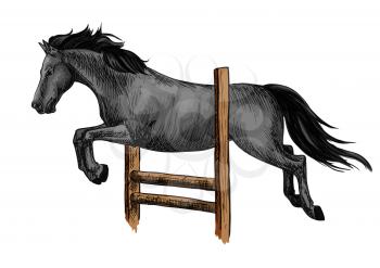 Black mustang stallion racing and jumping over barrier. Vector horse sketch for equestrian sport, horse riding, equine design