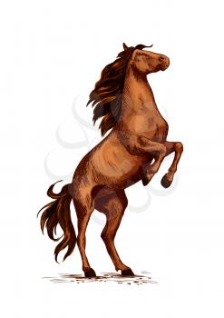 Horse or wild stallion rearing. Arabian brown mustang trotter on rears. Vector symbol for equine sport races or rides. Racehorse mustang or racer for equestrian sport contest or exhibition