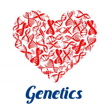 Heart composed of DNA helix. Love genetics poster with red models of DNA strands in a shape of human heart. Science, love and biotechnology themes design