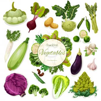 Green vegetable and bean cartoon poster. Fresh broccoli, cabbage, beet and potato, mushroom and garlic, radish, pea, zucchini, asparagus and kohlrabi, squash and salad leaves. Healthy food design