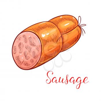Meat sausage isolated sketch. Beef bologna sausage or mortadella lunch meat for sandwich recipe, butcher shop, food packaging design