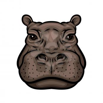 Hippo head cartoon icon. African hippopotamus mammal animal isolated symbol for wildlife themes, zoo sign, t-shirt print design