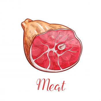 Ham meat sketch. Smoked pork leg with appetizing crust for butcher shop, restaurant barbecue menu or recipe design