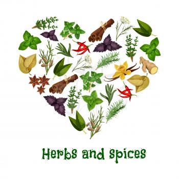 Spicy herbs in heart poster of vector herbal seasonings and spice condiments anise and oregano, basil, dill and parsley, ginger, cumin and chili pepper, rosemary and thyme, sage bay leaf, aromatic van