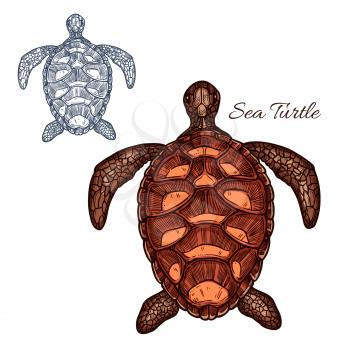 Turtle vector icon of marine sea or ocean reptile tortoise or terrapin with carapace bony or cartilaginous shell. Isolated turtle with detailed shell pattern for zoo, pet shop emblem or zoology symbol