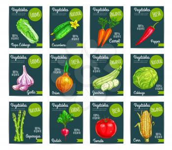Vegetables tags and veggies price labels vector set price labels for chili pepper, chinese cabbage napa and cucumber, carrot, garlic and onion, squash zucchini and corn, asparagus or radish and tomato
