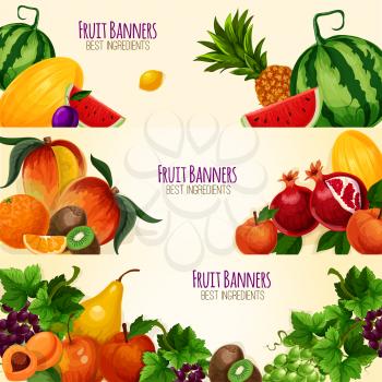 Fruits banners set of vector watermelon and melon, exotic mango and pineapple or kiwi, garden peach or apple and apricot or pear, pomegranate, plum and grape or citrus lemon and orange