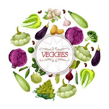 Vegetables vector poster of vegetarian veggies cabbage napa, zucchini or patisony squash, eggplant and beet, romanesco broccoli and pea beans, potato, garlic or onion and mushroom champignon