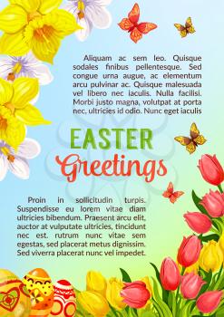 Easter greetings poster or card template with paschal painted eggs and springtime holiday flowers. Vector tulips or narcissus and butterflies. Catholic or orthodox spring holiday card