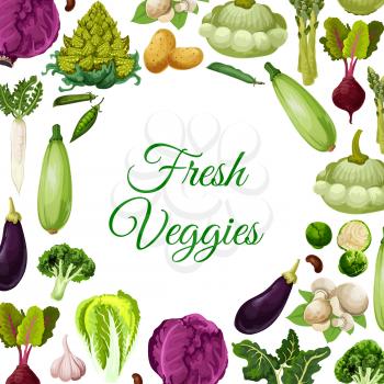 Fresh vegetables, mushroom and beans poster, vegetarian food menu background. Cabbage, broccoli, potato, eggplant, garlic, champignon, asparagus, bean and pea pod, beet, daikon radish, zucchini