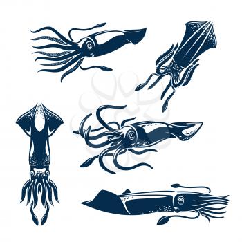 Squid sea animal isolated icon set. European squid blue silhouettes for seafood menu, sea fishing symbol or fish market sign design