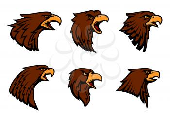 Hawk vector icons for sport team mascot emblem or blazon. Isolated badge of harsh eagle griffin or vulture bird symbol with beak for heraldry, military crest or coat of arms