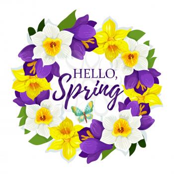 Hello Spring poster of daffodils floral wreath or narcissus bunch for springtime holiday design. Vector greeting card element of spring blooming crocus floral bouquet and butterfly
