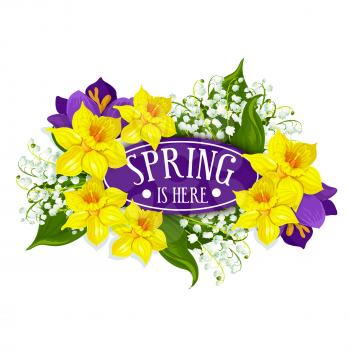 Spring is here floral design of yellow daffodils or narcissus wreath bow. Vector flowers bunch of bouquet of lily valley and forget-me-nots or crocuses for springtime holiday design or greeting card e