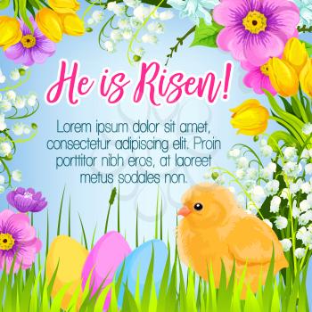 Easter poster and He is Risen design for paschal greetings. Vector Easter eggs and chick in bunch of spring flowers lily, crocuses, daffodils and tulips for Holy Sunday religion holiday