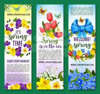 Welcome Spring greeting banners for springtime holiday design of flowers crocus, forget-me-not, narcissus or snowdrops and lily in grass and butterfly. Vector Hello Spring floral bunches or wreath bou