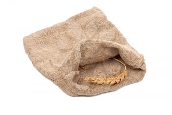 Sack with wheat grains and ears 